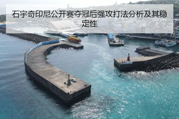 石宇奇印尼公开赛夺冠后强攻打法分析及其稳定性