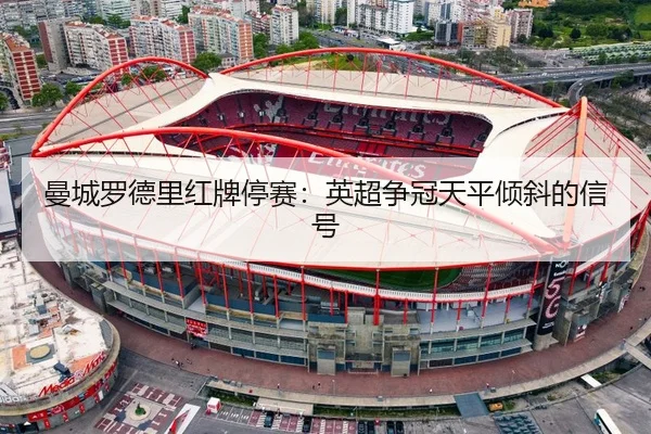 man-cheng-luo-de-li-hong-pai-ting-sai-ying-chao-zheng-guan-tian-ping-qing-xie-de-xin-hao-2-371.jpg
